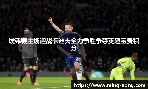 埃弗顿主场迎战卡迪夫全力争胜争夺英超宝贵积分
